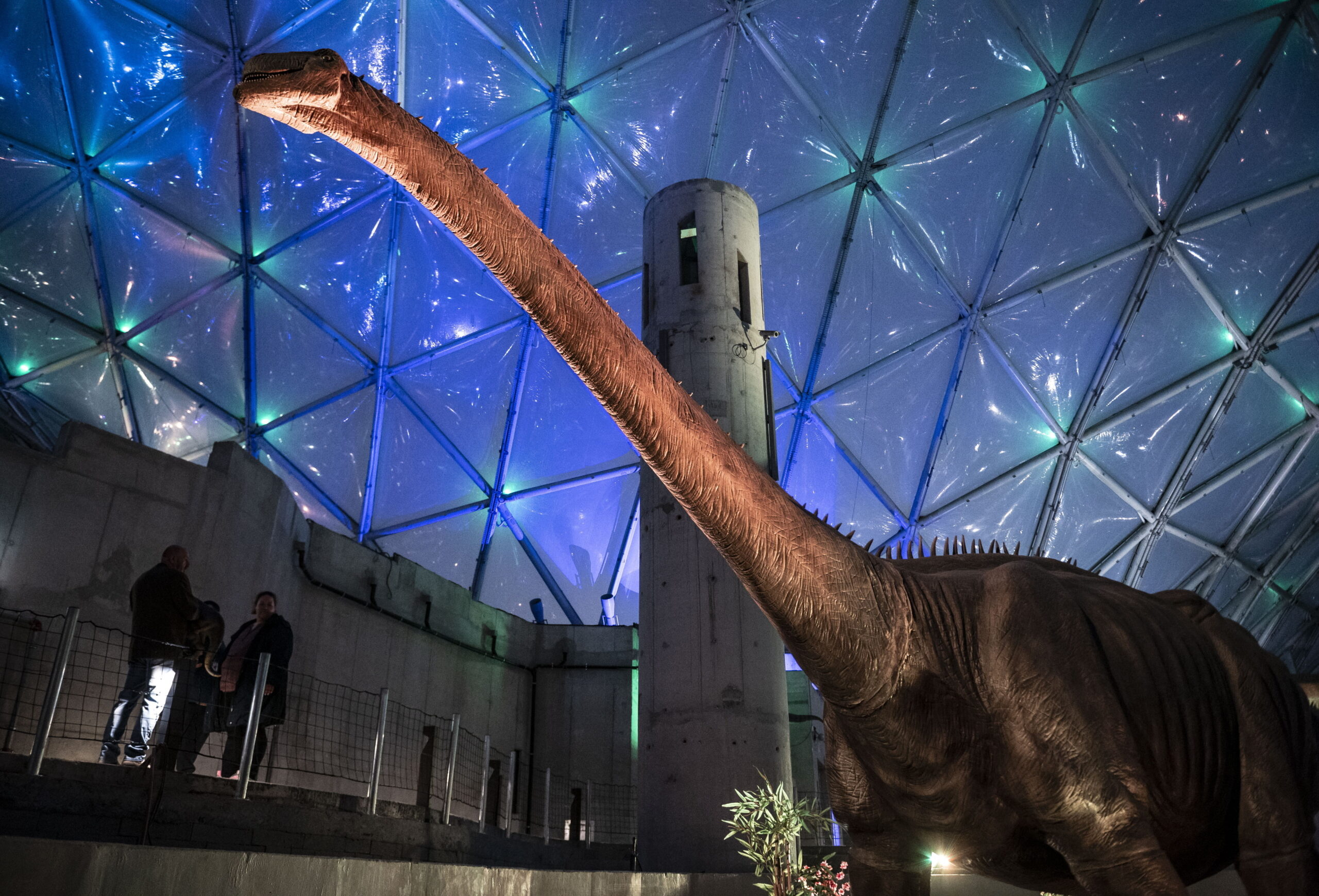 Budapest Zoo's Biodome Planned to Be Open Permanently