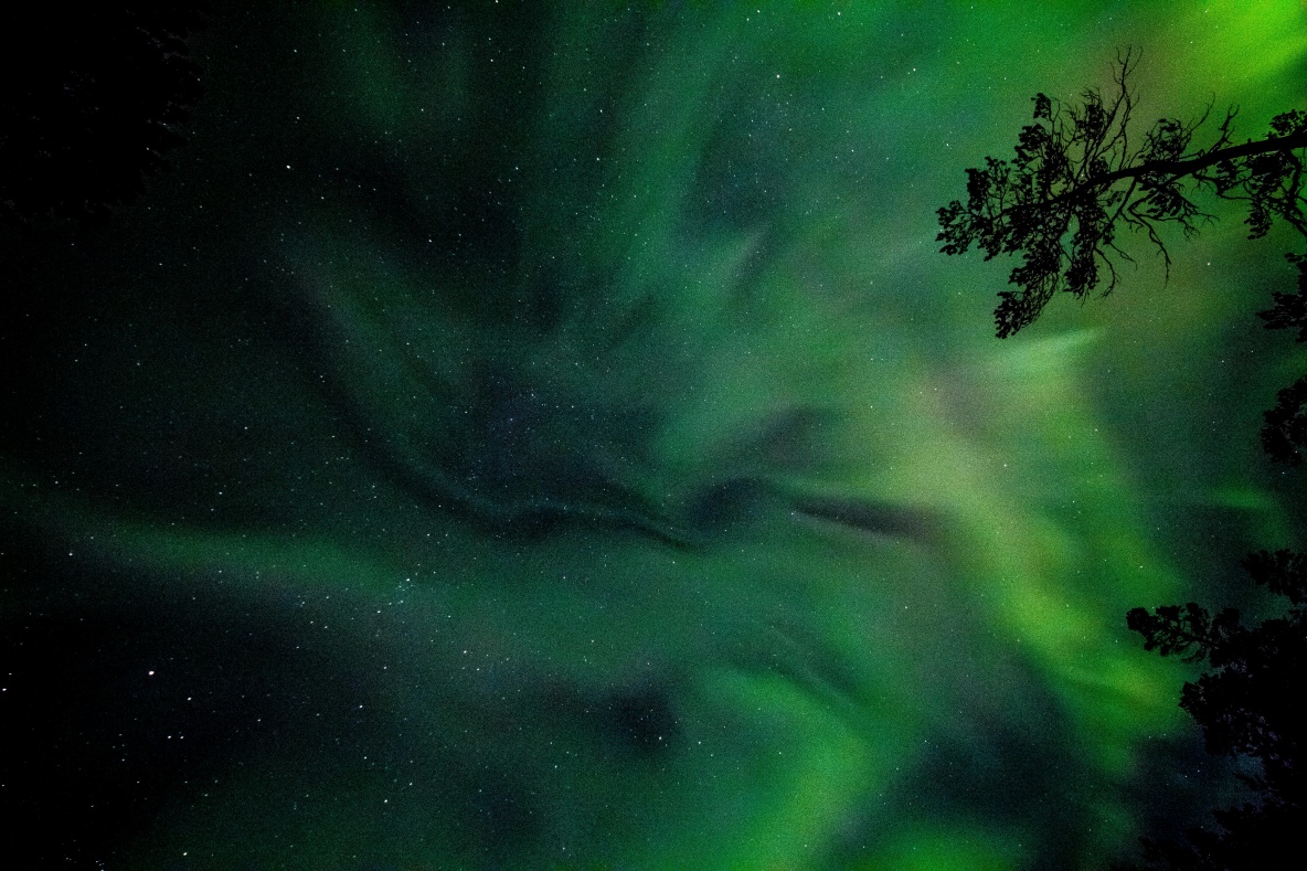 In Case You Missed It Last Time: The Northern Lights Could Return to Our Skies